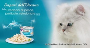 gourmet gatto-001