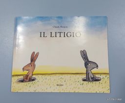 IL LITIGIO