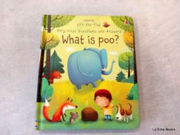 WHAT IS POO