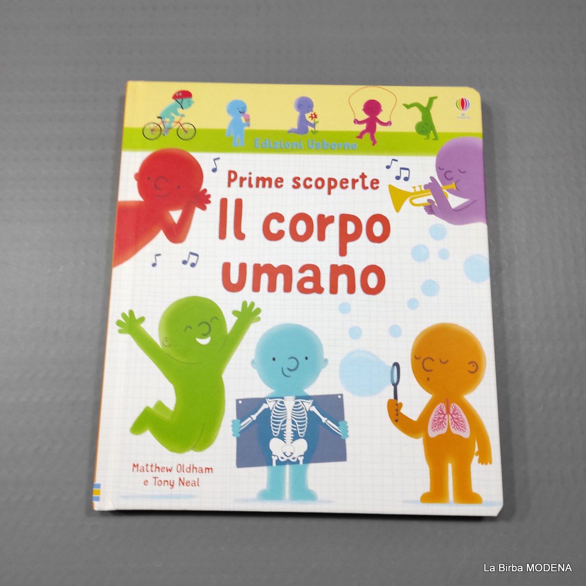 LIBRO IL CORPO UMANO