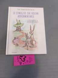 LIBRO IL CONIGLIO CHE VOLEVA ADDORMENTARSI