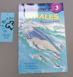 LIBRO WHALES