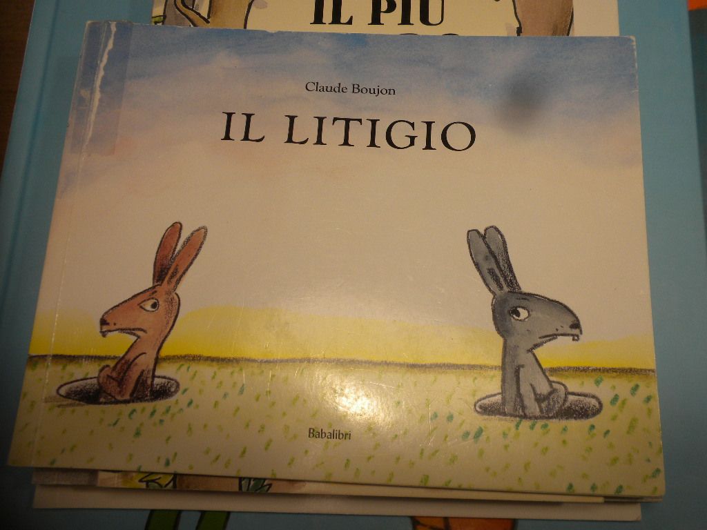 IL LITIGIO