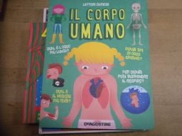 IL CORPO UMANO