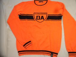 MAGLIONE DANIELE ALESSANDRINI